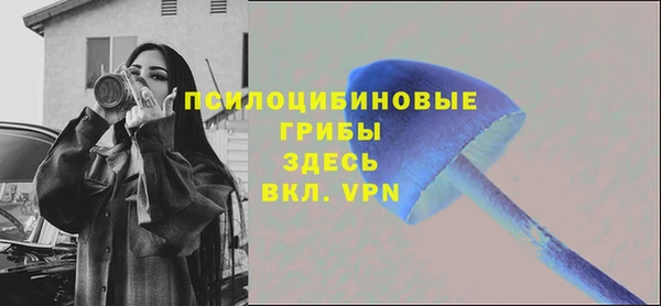 ГАЛЛЮЦИНОГЕННЫЕ ГРИБЫ Алексин