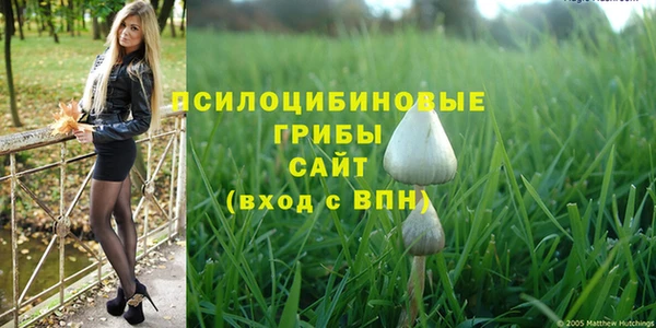 эйфоретик Армянск