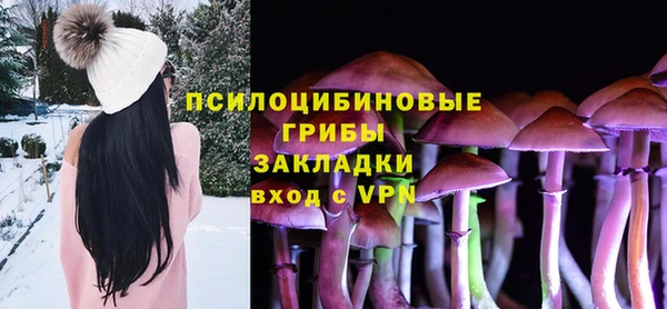 метадон Арсеньев